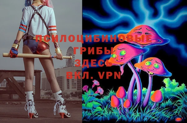 mdma Новодвинск