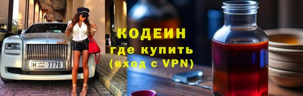 хмурый Новозыбков