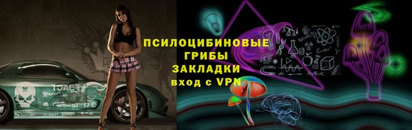 хмурый Новозыбков