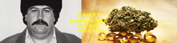 прущая мука Вяземский