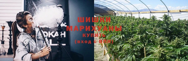 хмурый Новозыбков