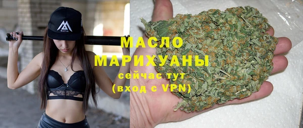 гидра Вязьма