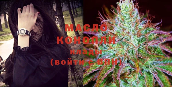 хмурый Новозыбков